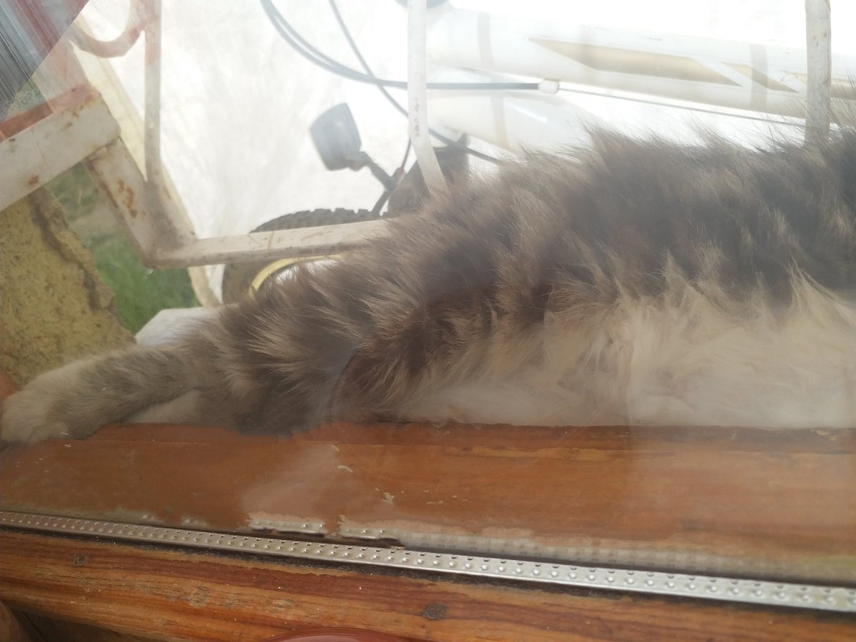 Cam kenarı keyfiiiii😻💤