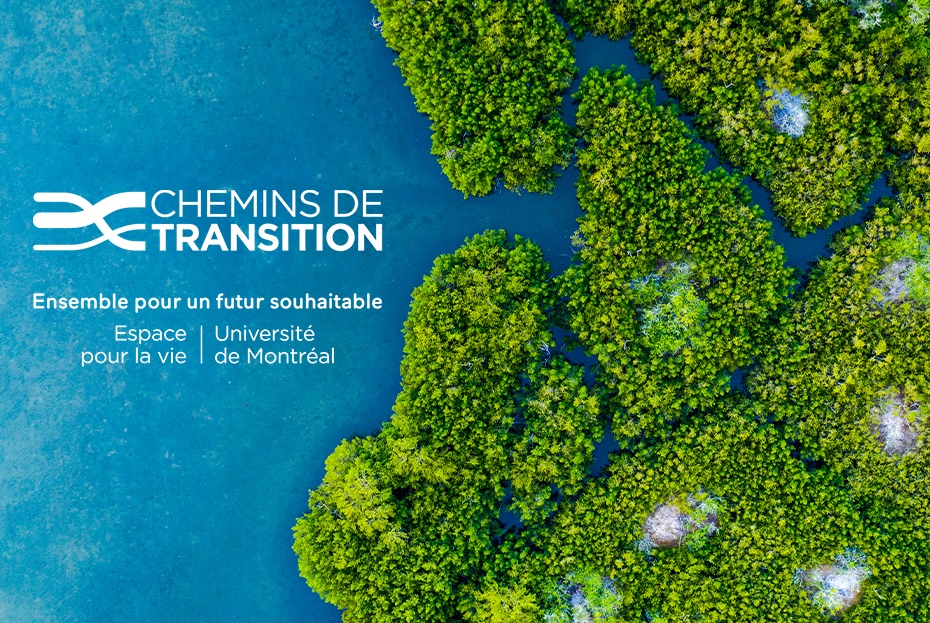 Transition: L’Université de Montréal et Espace pour la vie s’allient pour engager l’action et identifier collectivement les chemins les plus porteurs pour assurer un futur souhaitable au Québec. 
[Communiqué] - tinyurl.com/ycg4bwab