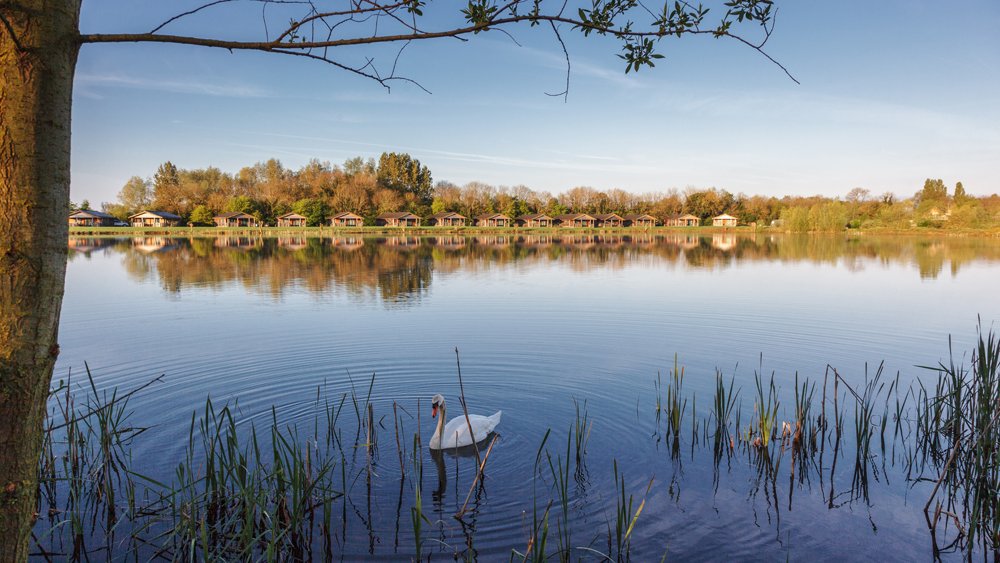 Waterside Kitchen & Bar tweet media