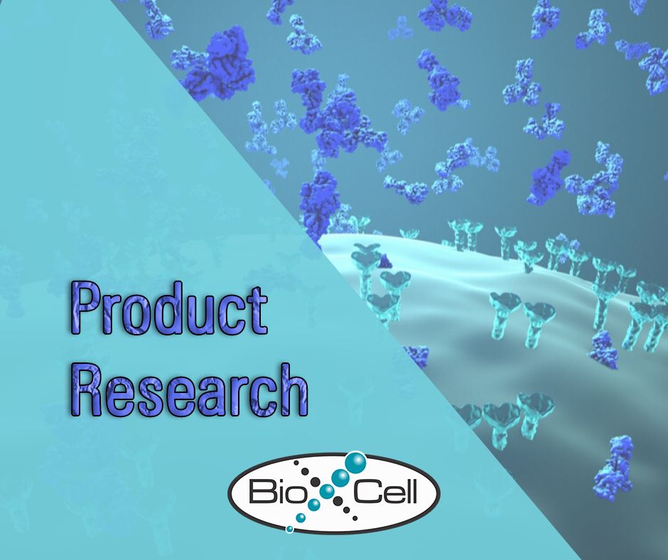 invivoantibody's tweet photo. Bio X Cell is, globally, the #1 supplier for in vivo-ready antibodies. Learn how our antibodies are used in research studies at the link below.
#Bio_X_Cell #invivoantibody #researchstudy

https://t.co/QKoZPaENts https://t.co/Lv3xT5ACRQ