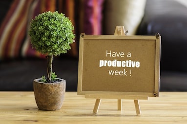 “Always remember, your focus determines your reality.” — George Lucas