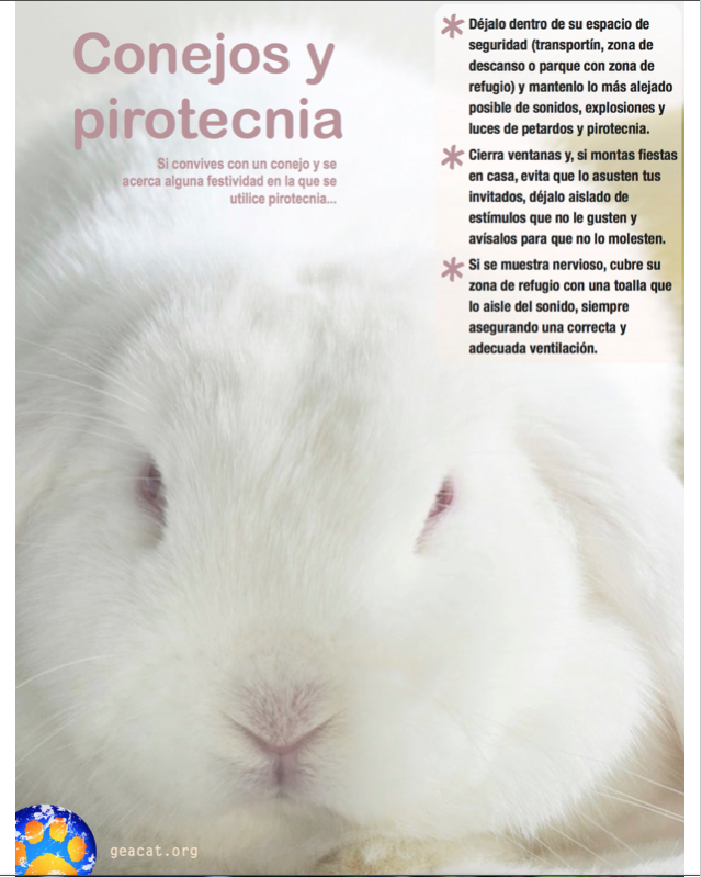 geacat's tweet photo. En muchos lugares se celebra con pirotecnia. Si eres de las personas que aún no sabe el daño que ésta causa a otros seres que conviven con nosotros deberías leer esto...

#noalapirotecnia https://t.co/fr1LFUjlB3