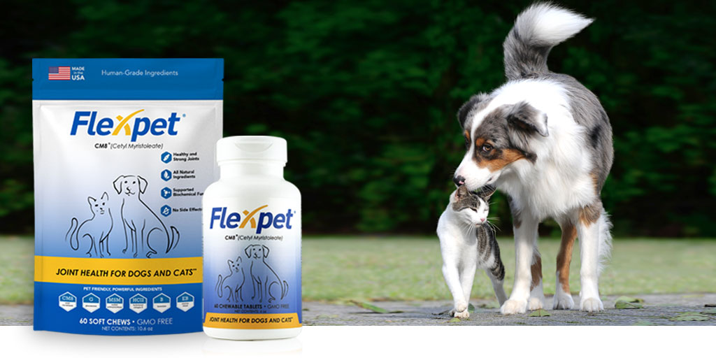 FlexPet (@flexpet) on Twitter photo 