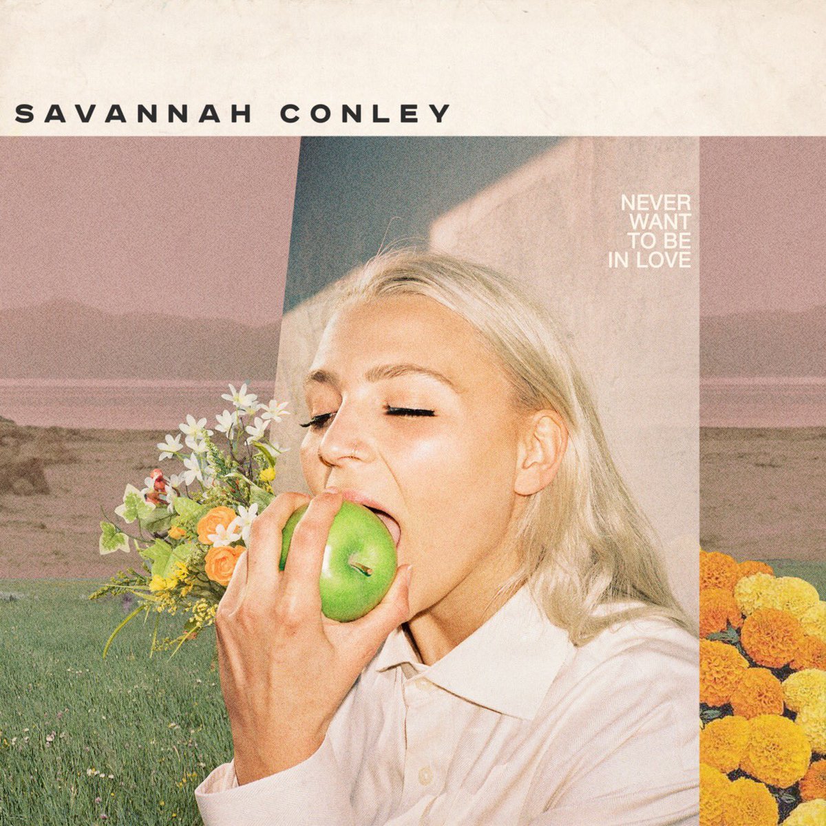 Hi again. It’s been a while.
‘Never Want to Be In Love’ out 6/26

pre-save here: stem.ffm.to/neverwanttobei…