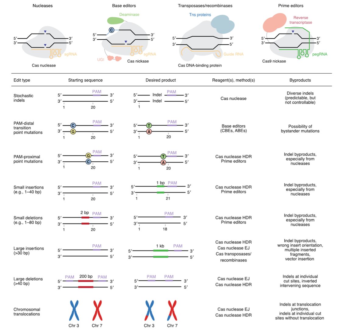 davidrliu's tweet photo. Itching to read a 21-page review article (plus 16-page Supplement) on CRISPR nucleases, base editors, transposases, and prime editors with 454 total references? It's your lucky day. Congrats, Andrew and Luke! 
Review article: https://t.co/Y8GdUTwpNp
SI: https://t.co/XFZXad8ZAG https://t.co/zwsGGoZfdL