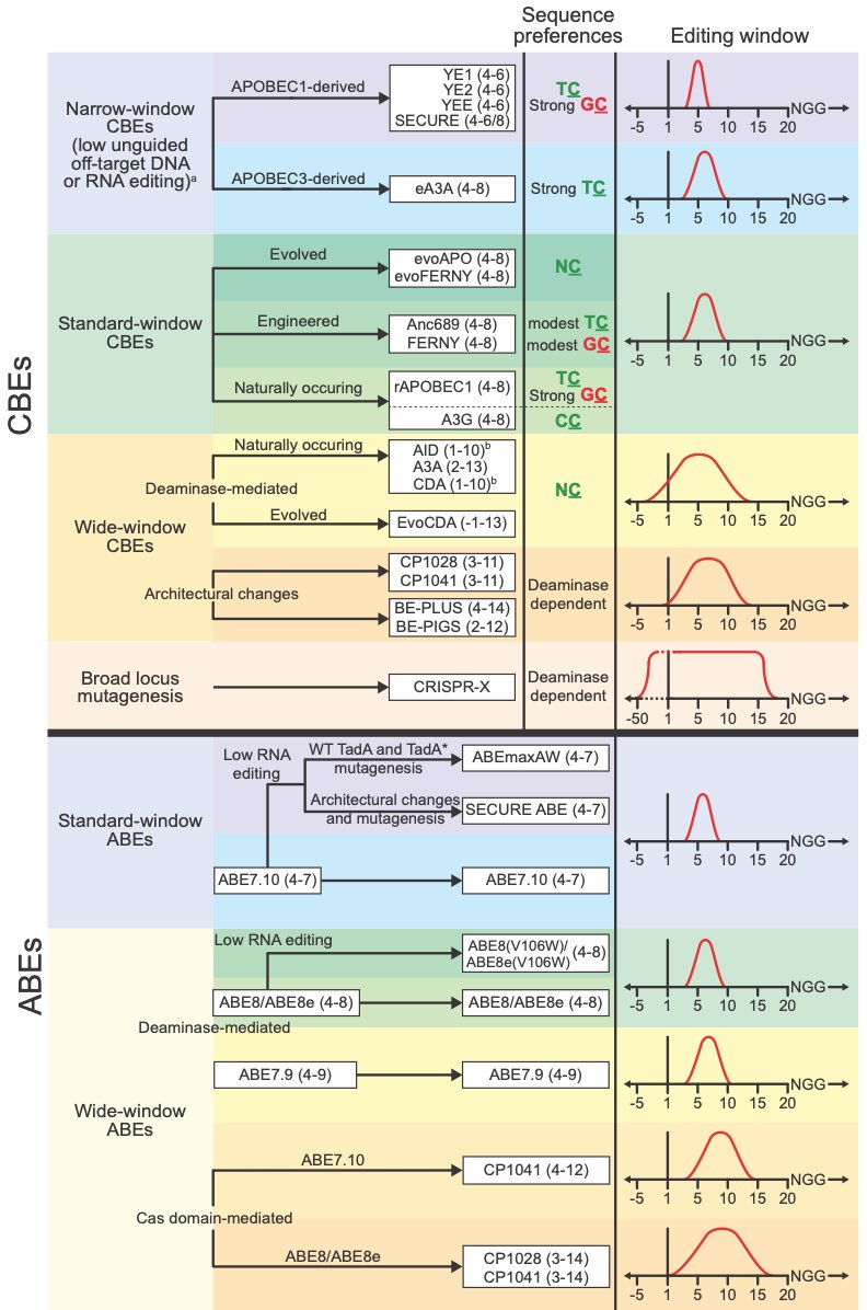 David R. Liu (@davidrliu) on Twitter photo Itching to read a 21-page review article (plus 16-page Supplement) on CRISPR nucleases, base editors, transposases, and prime editors with 454 total references? It's your lucky day. Congrats, Andrew and Luke!
Review article: drive.google.com/file/d/1_Kz4SN…
SI: static-content.springer.com/esm/art%3A10.1… Itching to read a 21-page review article (plus 16-page Supplement) on CRISPR nucleases, base editors, transposases, and prime editors with 454 total references? It's your lucky day. Congrats, Andrew and Luke!
Review article: drive.google.com/file/d/1_Kz4SN…
SI: static-content.springer.com/esm/art%3A10.1…