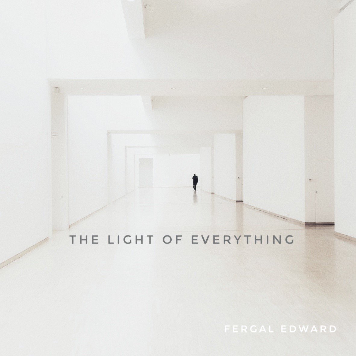 DUBLIN SINGER-SONGWRITER FERGAL EDWARD RETURNS WITH 'THE LIGHT OF EVERYTHING' EP - ventsmagazine.com/2020/06/22/dub…