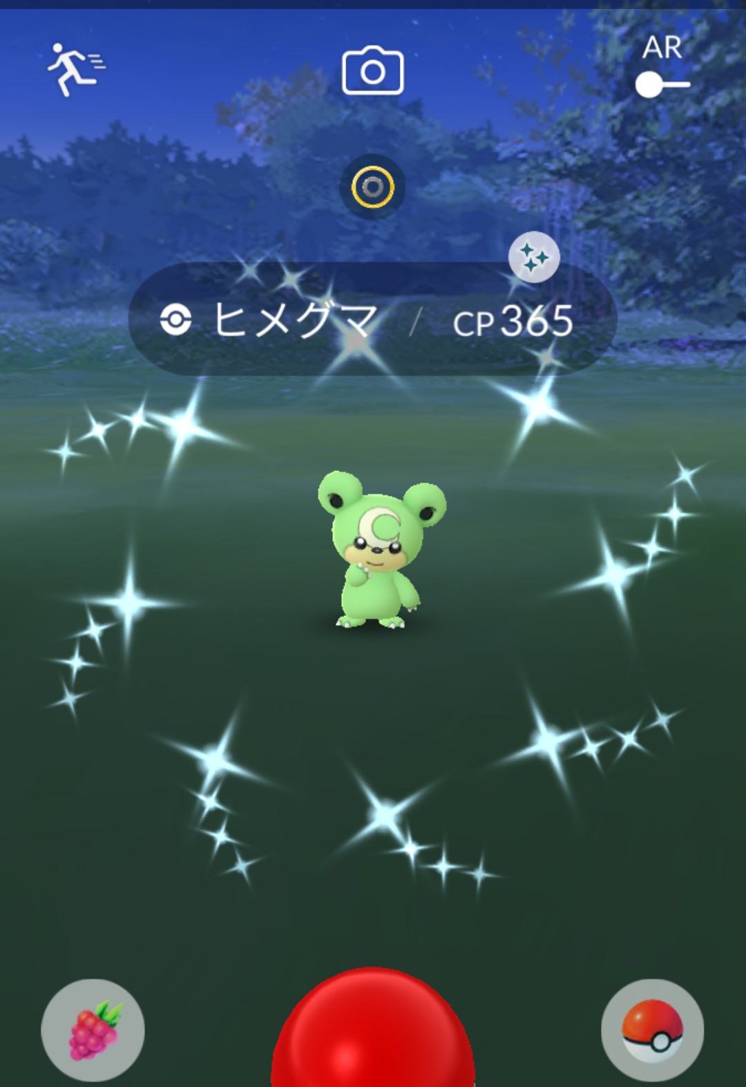 ヒメグマ色違い Twitter Search Twitter
