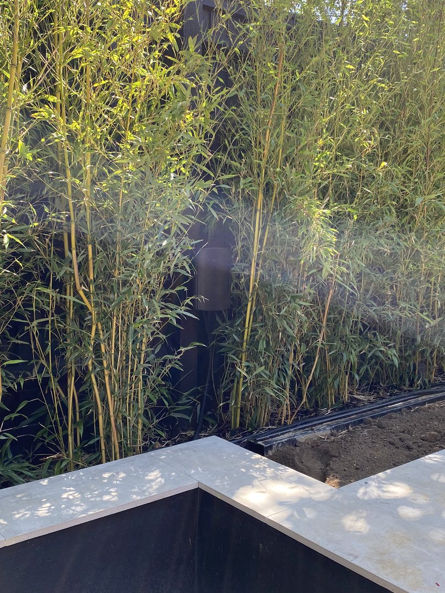 b_linnett's tweet photo. Great sound from the triad speaker from @Control4. Done very well to hide it here too in this planted wall. https://t.co/U2Pol0QTAq
