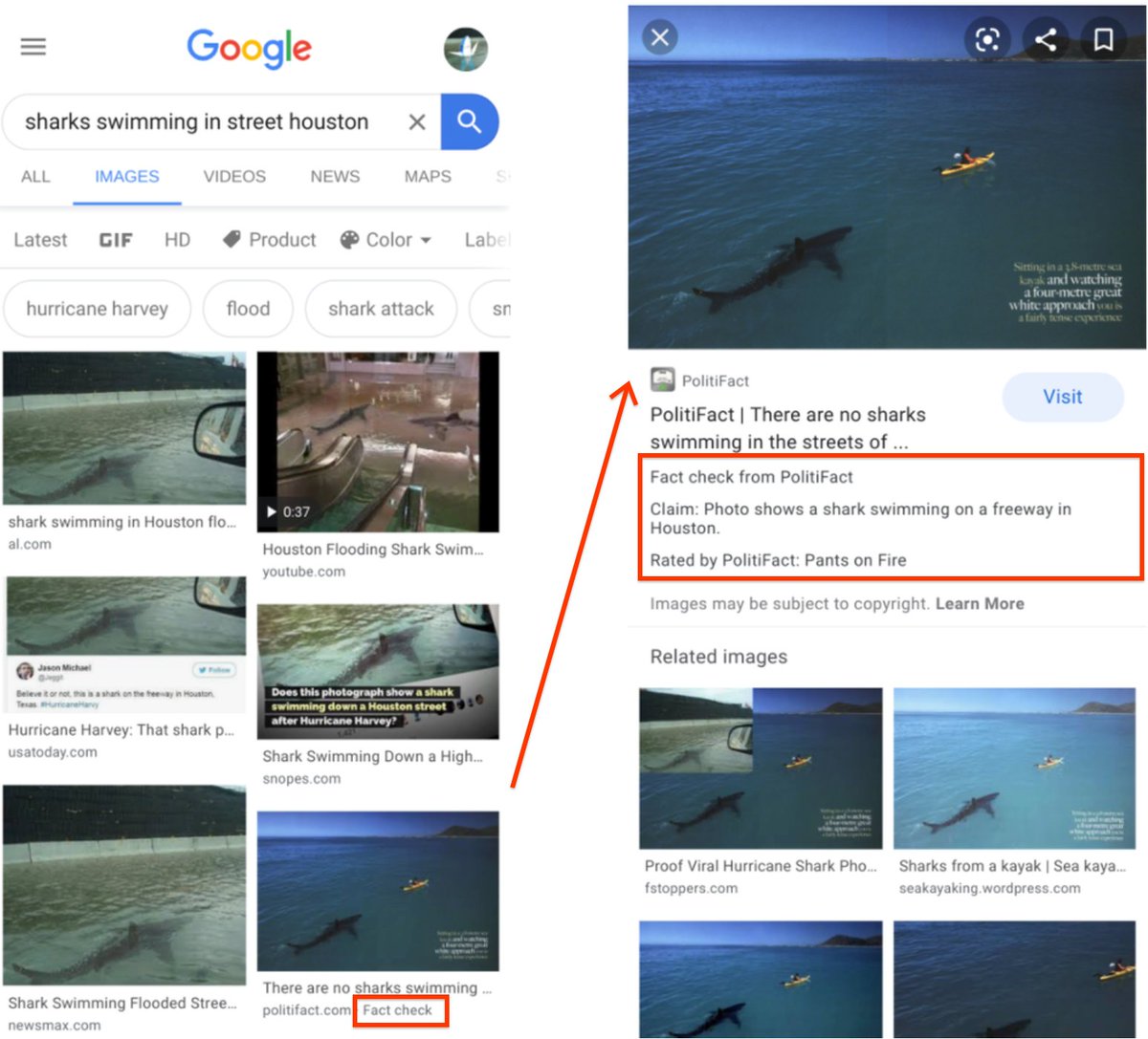 Is that image of a shark swimming down a street in Houston real? Google Images now has "Fact Check" labels to help inform you in some cases like this (no, it was not real). Our post today explains more about how &amp; when fact checks appear in Google Images: 
blog.google/products/searc…