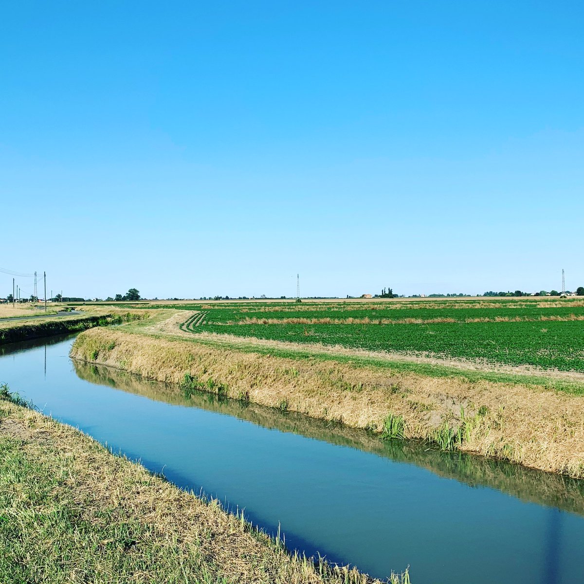 LorenzoMalin's tweet photo. Rollin on the river...
-
#MyTown #SanBellino #Fields #SunnyDay #Summer #Afternoon #walking #MyMusic #CountryBoy #Home #PicOfTheDay #RoadToThreeBridges #InstaPonta https://t.co/WGHDLeNNPC