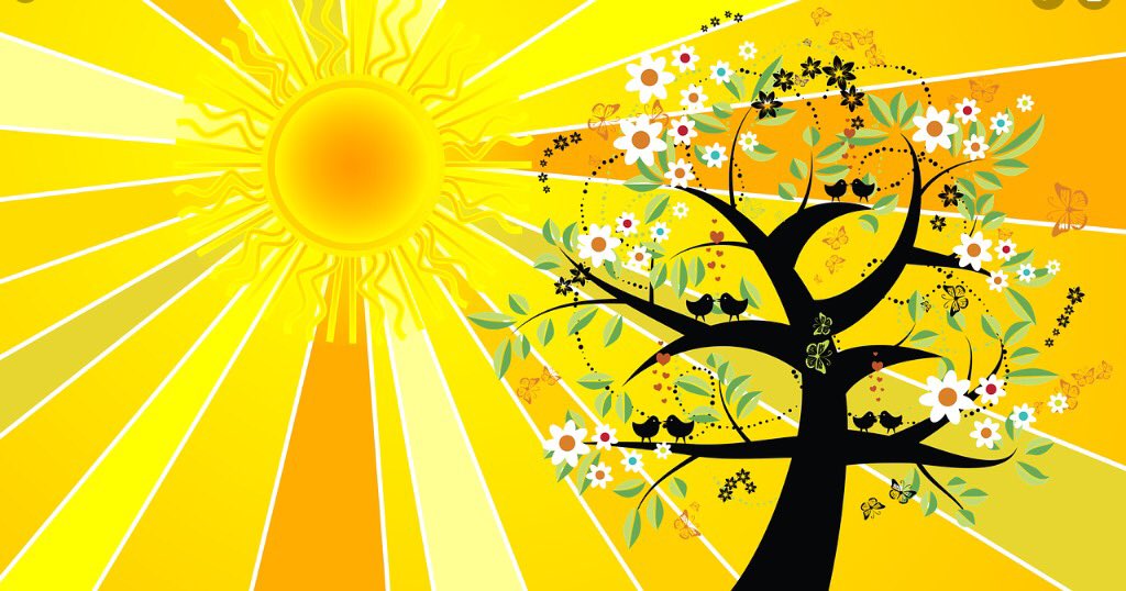 Mrs.MacKenzie tweet media