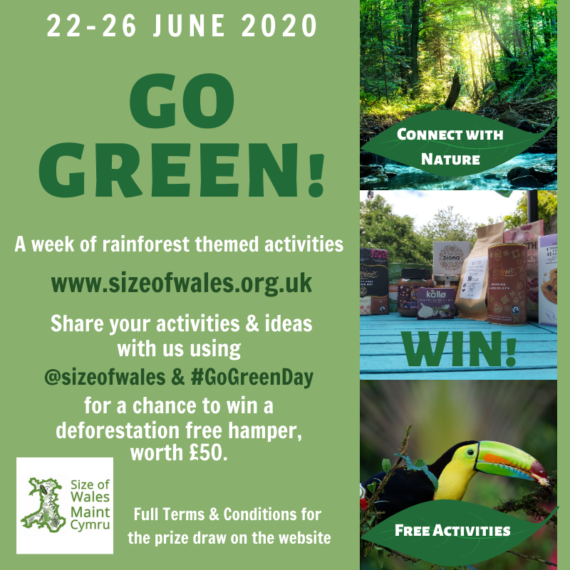 sizeofwales's tweet photo. We invite you to join us for a week of learning about, celebrating and connecting with the wonder and science of tropical forests🌳
🌿For a chance to win our deforestation free hamper share photos of your activities &amp; ideas with us this week, using @sizeofwales &amp; #GoGreenDay! https://t.co/wRSIzftPQZ