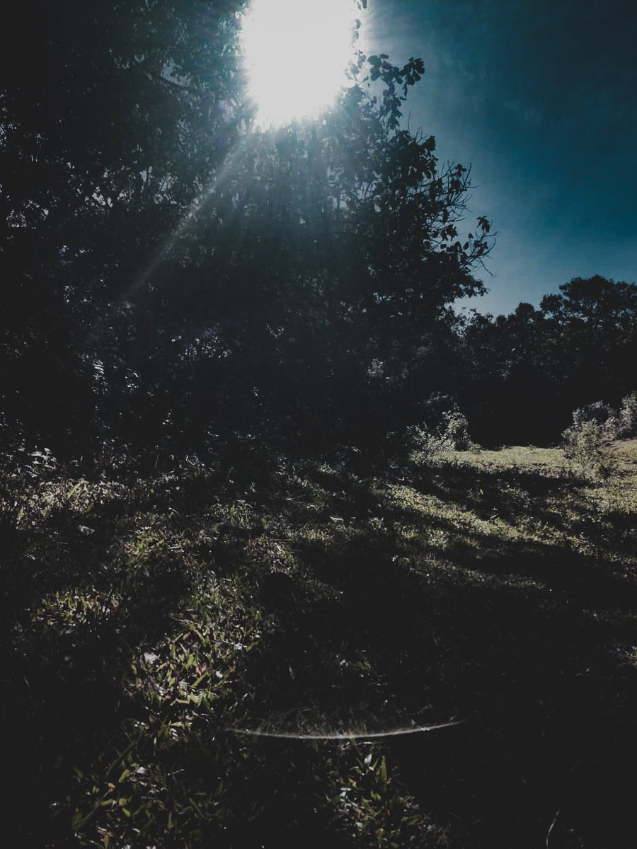 Ederson_rss's tweet image. Como faz pra voltar pro final de semana?