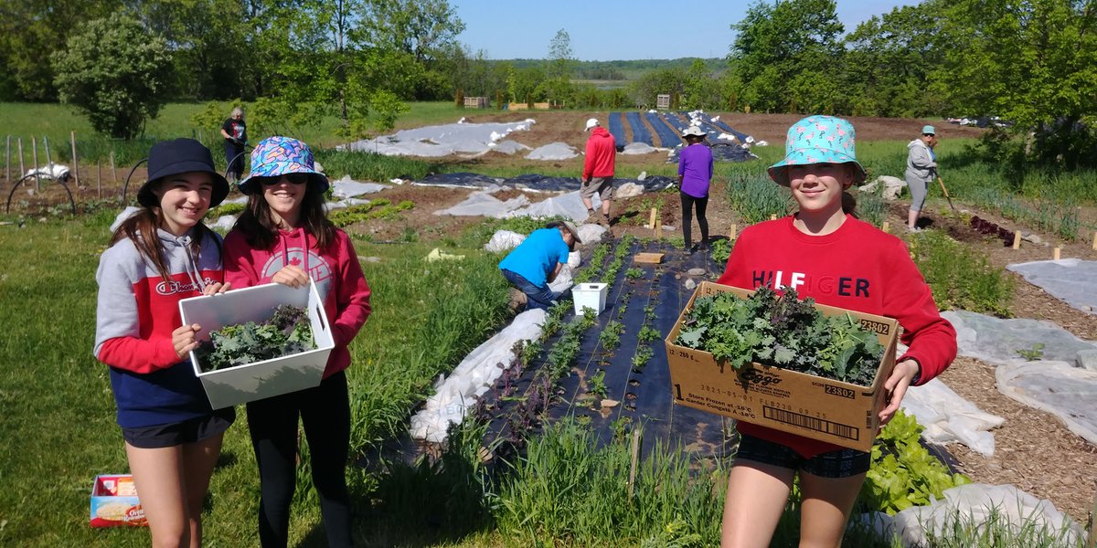 Farm2Cafeteria's tweet photo. Students at @LoughPS_LDSB, identified by @downiewenjack for work towards #truthreconciliation, are learning to grow &amp; prepare food &amp; connect to the land, community &amp; the teachings of Anishinaabe and Haudenosaunee culture. #NATIONALINDIGENOUSPEOPLESDAY https://t.co/ED9bWebqi9 https://t.co/WBvQUNOMNs