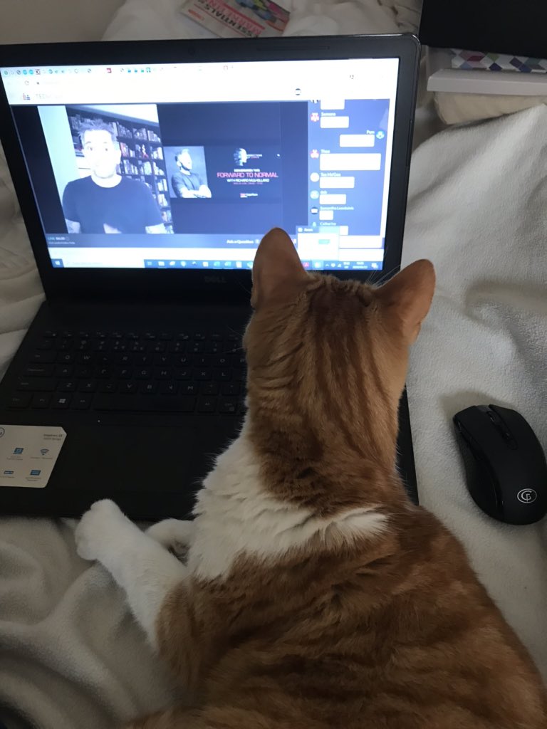Pam (@viljoenpam) on Twitter photo When the cat is as intrigued by <a href="/RichMulholland/">Rich Mulholland</a> as you are. Some inspired out the box thinking. Thank you <a href="/tedxcapetown/">TEDxCapeTown</a> #intersectionsofchange #AmplifyLife When the cat is as intrigued by <a href="/RichMulholland/">Rich Mulholland</a> as you are. Some inspired out the box thinking. Thank you <a href="/tedxcapetown/">TEDxCapeTown</a> #intersectionsofchange #AmplifyLife