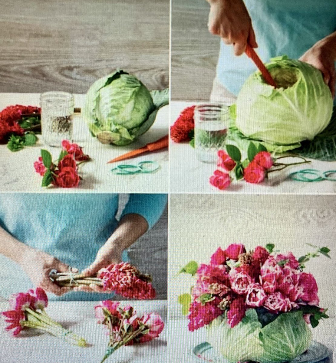 MariyaJoseph909's tweet photo. My creative flower arrangement using a cabbage - week 4 #EVNT712 https://t.co/pugi21VsY6