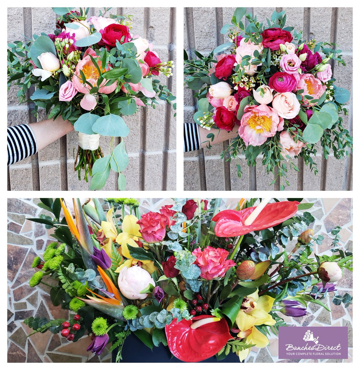 bunchesdirect's tweet photo. Beautiful #DIY bride bouquets by Bunches Direct Canada and USA. Take advantage of our summer deals.
@bunchesdirect #bunchesdirect
https://t.co/6sH8jd0uqC
https://t.co/pPmkZRA7Z9 https://t.co/sR3mLX0rm2