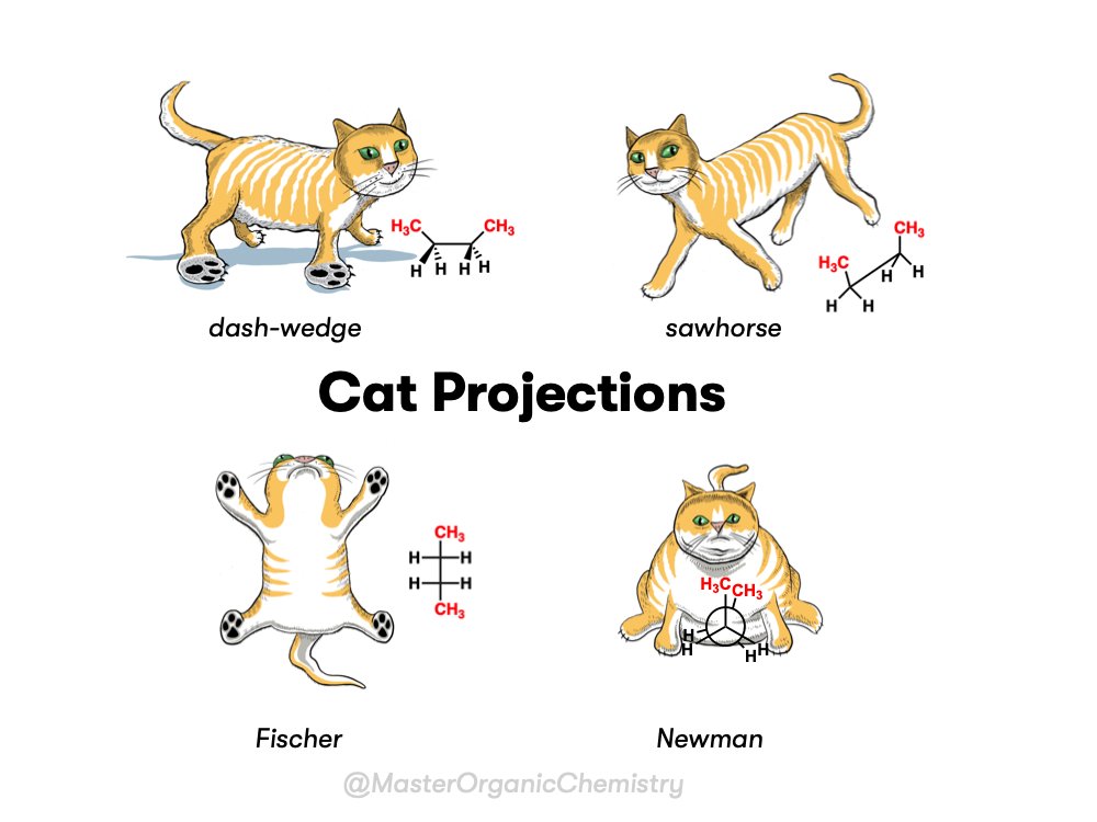 jamesashchem's tweet photo. Cat projections. Thanks to the talented @mackaycartoons  for moonlighting from his day job at @TheSpec https://t.co/5jJhbShZho