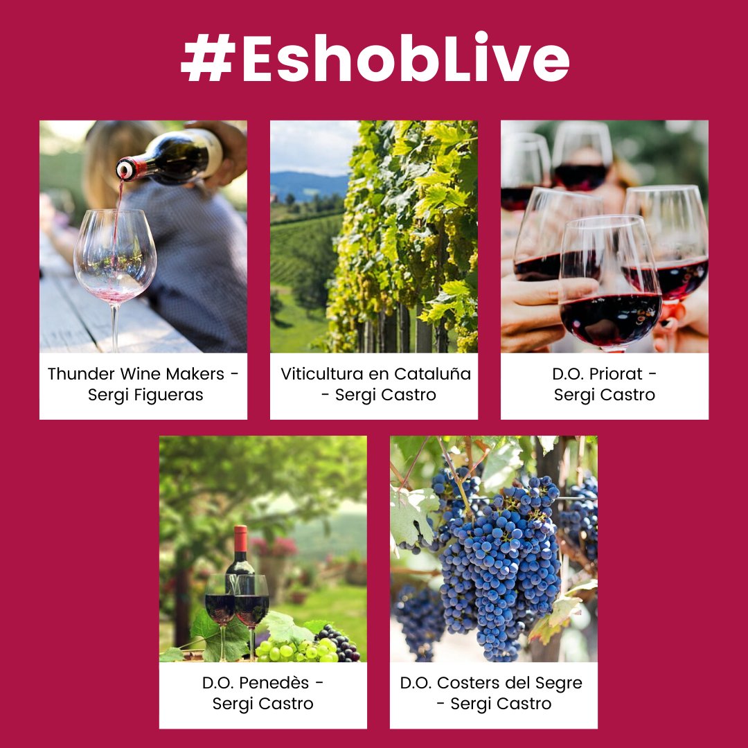 ESHOBescola's tweet photo. 📹 Nuevas grabaciones disponibles en #EshobLive.

🍷 Esta semana no te pierdas los vídeos que hemos colgado enfocados al mundo del vino.

▶️ Dale al play en: https://t.co/35sTS8oQIT https://t.co/E3wy5Z6mnd