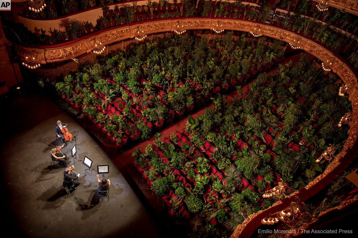 EmilioMorenatti's tweet photo. Musicians rehearse at the Gran Teatre del Liceu that reopens its doors, in which the 2,292 seats of the auditorium will be occupied on this occasion by plants, in Barcelona, Spain, Monday, June 22, 2020. https://t.co/2G5o0JiM7U