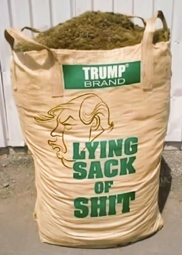 This Lying Sack is destroying my country. You cannot imagine what I will do to throw him out of office.Please save this graphic and use it (share) for every damn lie he tries to shove down our collective throats! Daily? #TrumpsAPathologicalLiar  #MakeLyingWrongAgain