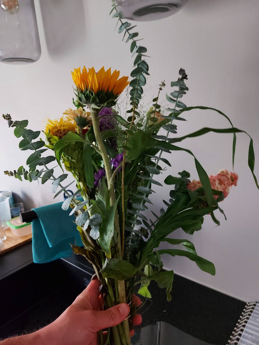 WRoering's tweet photo. @albertheijn mooi bosje bloemen gekocht voor €10,-. Maak het plastic open en verrot. Zonde van je geld dit! Dit kun je niet zo verkopen! https://t.co/HLVxdkpOSr