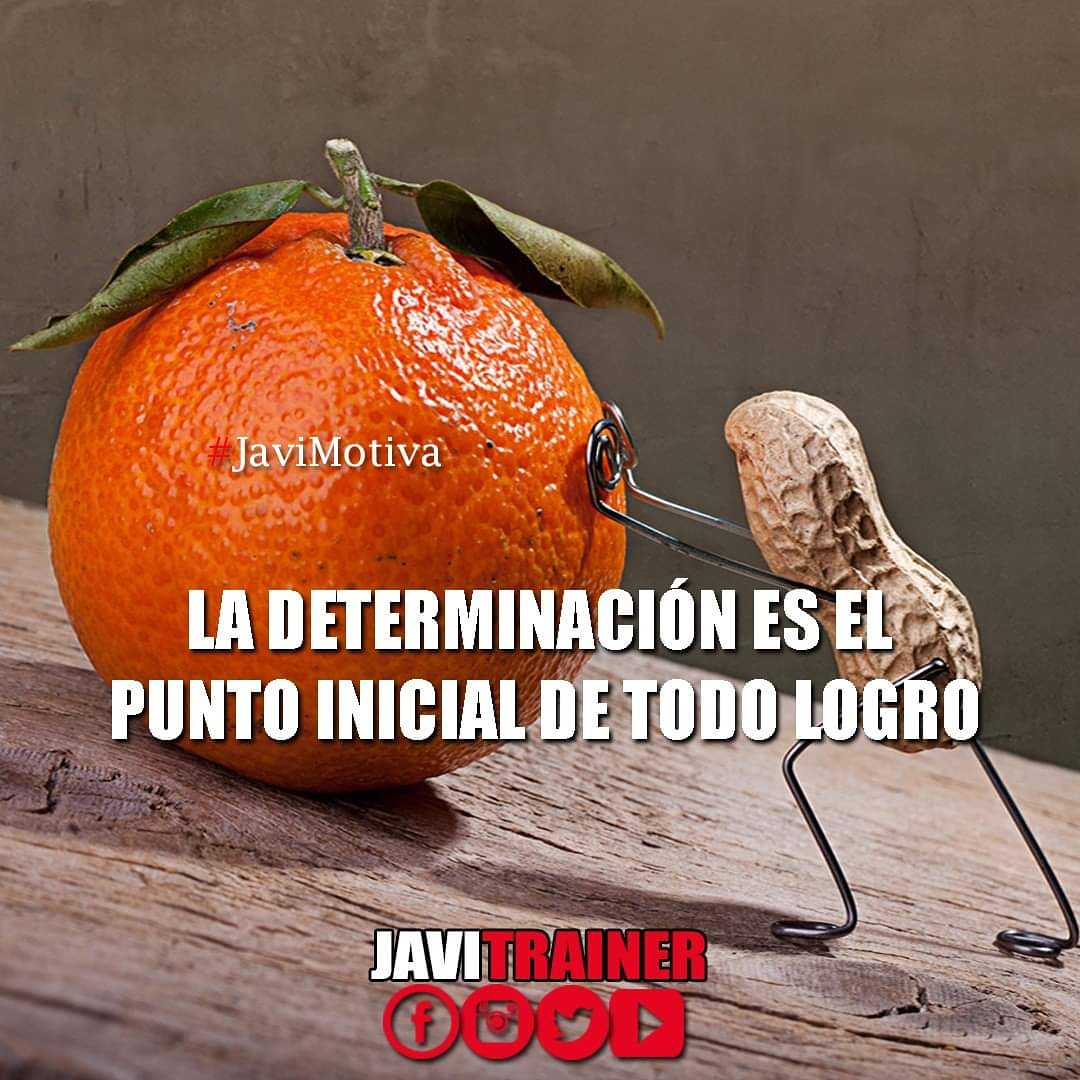ptbogota's tweet photo. ▶️ https://t.co/Zvn6fqYQ8L #motivacion #motivacionpersonal #lunes #LunesFestivo #Lunesdeaportes #entrenadorpersonalbogota #Entretenimiento https://t.co/5ZoUC2s3j7