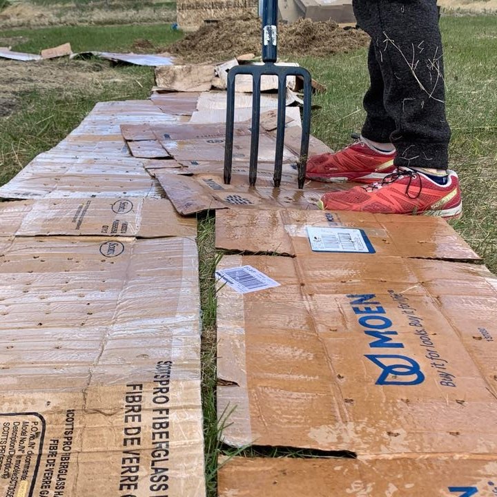 GrowCalgary's tweet photo. Very thankful for @Lowes in Balzac! Their donation of recycled cardboard is essential for building our lasagna beds!
#reducereuserecycle #urbanfarm #thankslowes #balzac https://t.co/4aTtfun6Wo