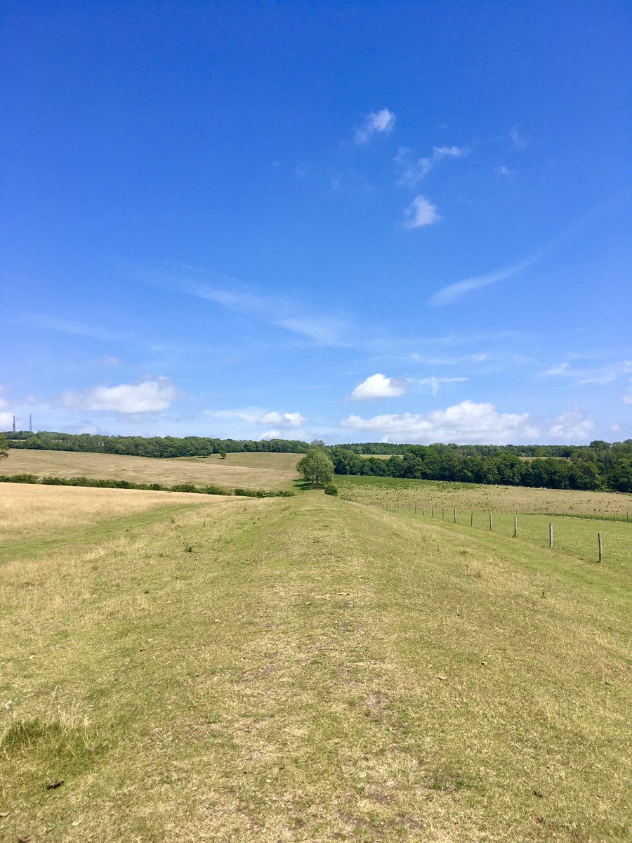 Exploring Stane Street Roman road today #archaeology #romans #romanroads #stanestreet #southdowns #furlough