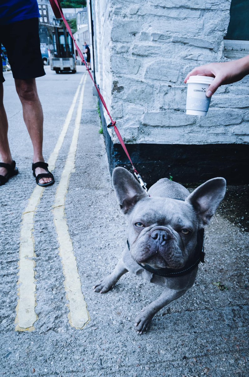 CornishBakery's tweet photo. 'Don't be such a grump'! 

Little Jack here clearly hasn't had his morning @UnionRoasted coffee and it's quite frankly ruining his day. If you're anything like Jack here, we've got you covered.

Stop by your local bakery today for that daily coffee 'hit'. See you soon ☕️☕️☕️ https://t.co/KpKu0LOJz7