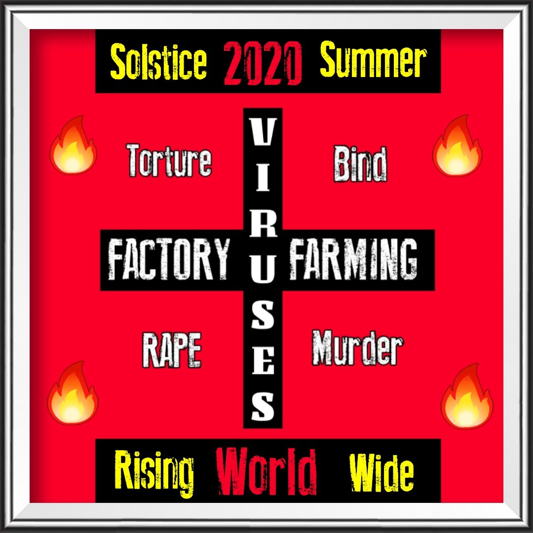 WiLaBe's tweet photo. ๐ฅต #SolsticeSummerSlaughter ๐ฅ๐ฅ๐ฉธ*HellOnEarth* #YulinFestival ๐จ๐ณ #China #FactoryFarming ๐บ๐ธ #USA *2020VisionOfTorture* @XiJingpingReal ๐ค๐น๐ค @realDonaldTrump *WhatDoWeDo* โ๏ธ #TweetForChange #AnimalRights ๐พ *AnimalsWhisperingForHelp* #HauntingSilentBellows https://t.co/zX8noAauBH