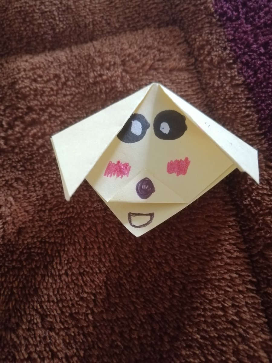 Felipe Morales Avello tweet media