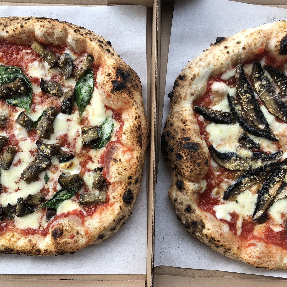 WildPizzaCo. tweet media