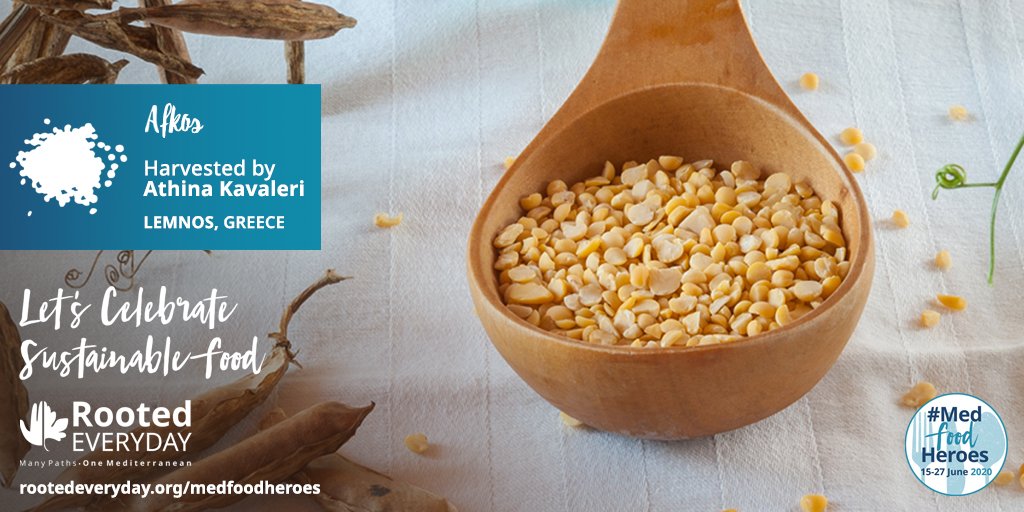 MedNatureCultur's tweet photo. Afkos is a local variety of legumes in Lemnos planted in autumn. One portion has 35 times more antioxidants than an antioxidants vitamin supplement! https://t.co/Gk0K31Z21q #MedFoodHeroes #RootedEveryday @MedINAGreece https://t.co/s3wocOOOoX