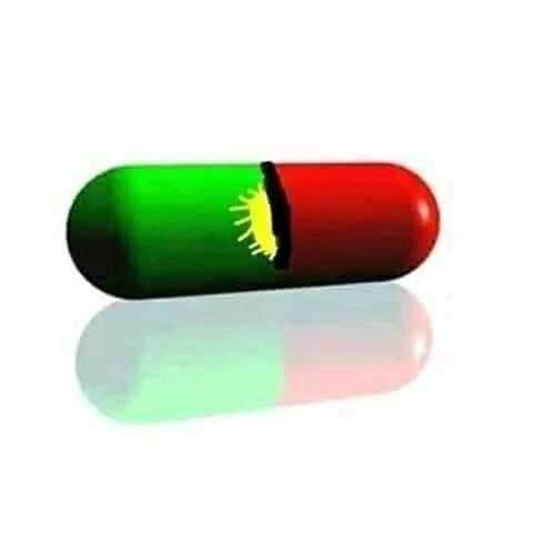 IpobosisiomaLga's tweet photo. The time here now is 7:20pm,
Listen to #RadioBiafraExtra
Anchored by #IpobAfricanRep.
Mazi George Onyeibe.
TOPIC:
Taking over spirual authorities around your varcinity.
@JusticeMarare
@MaziNnamdiKanu
@Vanguardnews
@MobilePunch
@MaziEmmaOgbonna
@Amaka_Ekwo
@bbc
@Cnn https://t.co/DFcDqaEGaK