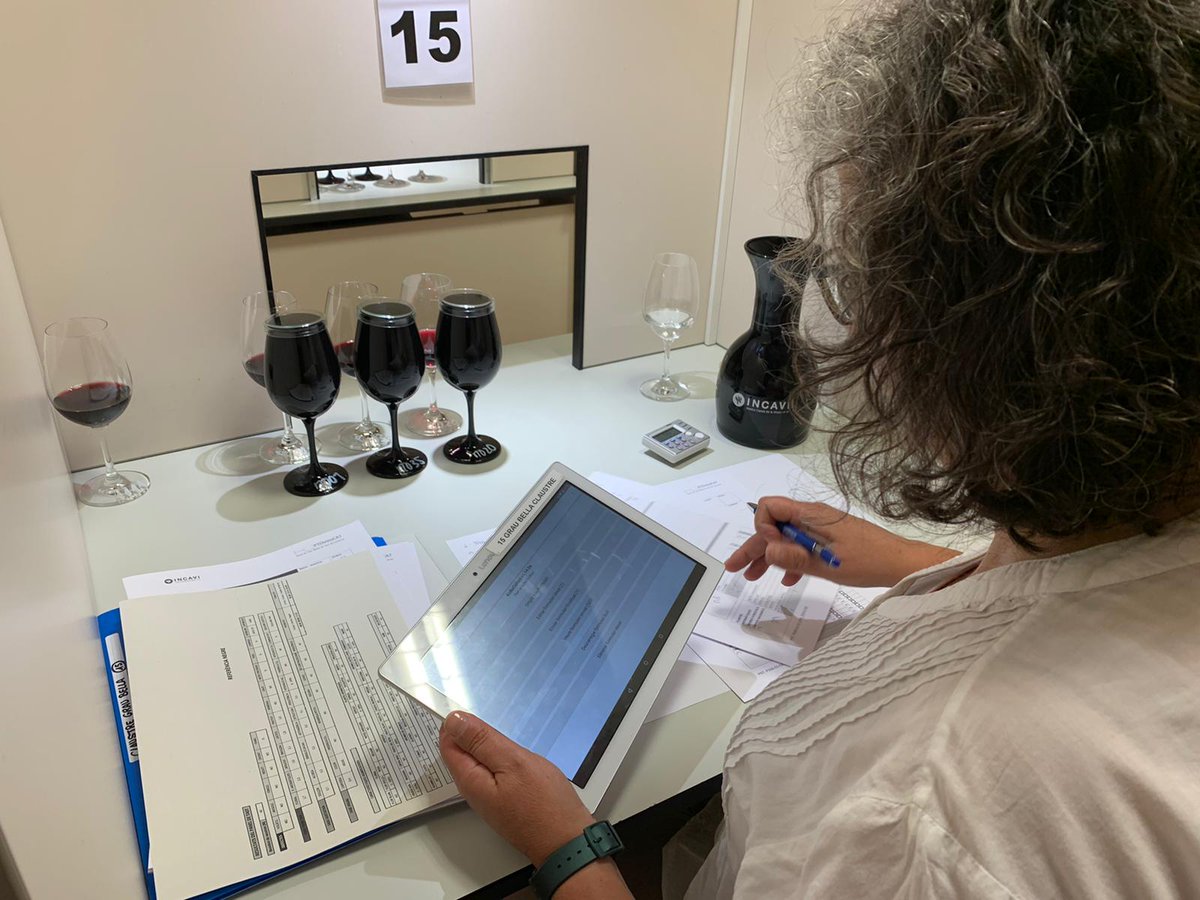 EvaVicens's tweet photo. 👉El projecte #Minorvin:
☝️Posa en valor la biodiversitat existent entre varietats minoritàries de vinya recuperades, avaluant-ne el potencial de la mitigació dels efectes del canvi climàtic en la viticultura
🍷El panel de tast de #Cat avalua seixanta dels vins resultants https://t.co/fugUpfQ3kg