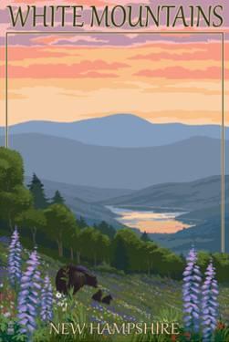 AllMountainNH's tweet photo. Spend time in the White Mountains of NH! https://t.co/4IJbv70oL8 https://t.co/k9umbUCReU