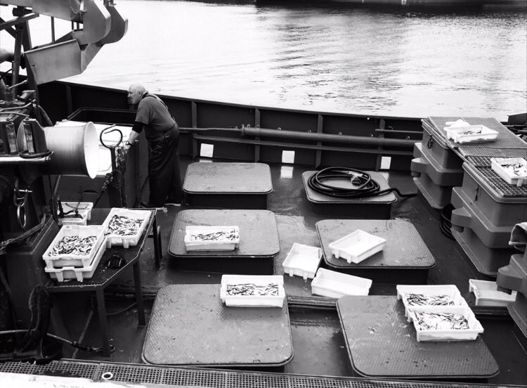 #portua #getaia 🐟