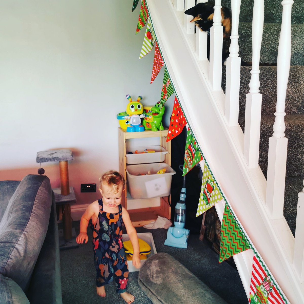 leoniemathers's tweet photo. Under a watchful eye. Persephone is curious, but not quite brave enough to come play (yet) #dailycute #dayninetyfive #kitten #toddler #recipeformischief https://t.co/AbztQ4TAmT