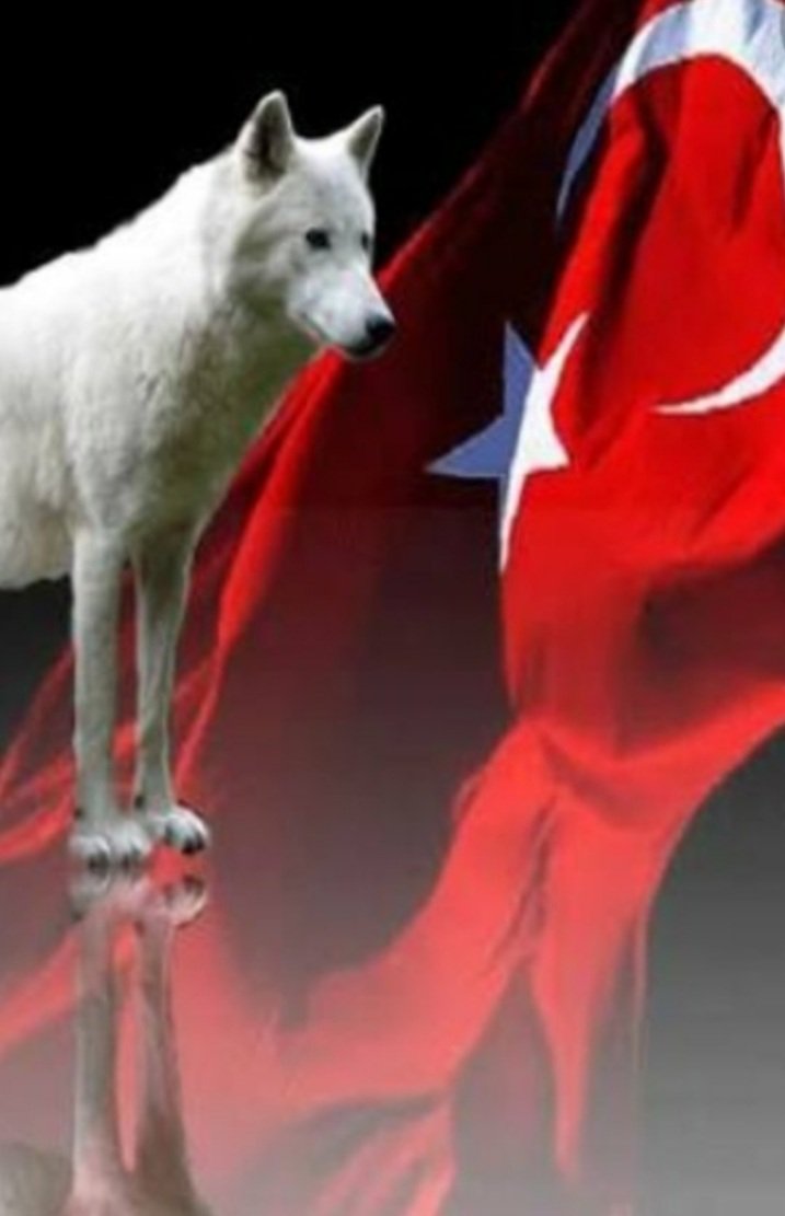 @ya__naz58 @AyseliDogan03 @AirAslan @__SULTAN427835 @CumhurTakip @tweet_baskani @Fetih03612793 @ukocagoz32 @efb3441 @Akkadntuba1 @fatsultanmehmet @kstmnulu @AntepliMamato @Araapselo1969 @Tek_Vatan12 @Murat_Utku_ @JagerMuhammed @baltazafer1 @vatan_evladi2 @ozg197679 @bizde_yalan_yok @DestekMilli @CumhurIttifak @SagolTurgut @avcihusnu21 @ramazandursun__ @hamratstn @alametuldiyar @alisan_adem @goncalar07 @ali_trkmn67 @alicoskun2525 @alimtunc @OzugurAli @AliyA_571 @Ali_baskan02 @AliHayalper @eskiler_g @kalemdar @KIZILELMAQ @FilzTryk @BuIentKayaRTE @mulktur @KatreiSu13 @fetihak4 @AbbasiogluAli @alpcanitez @_icazet Hayırlı akşamlar