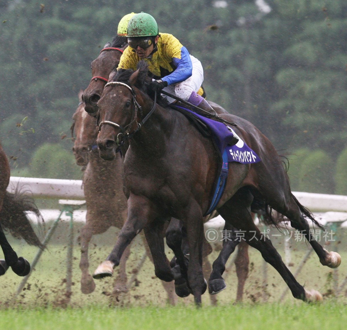 雨の宝塚記念】 2006年6月25日 第47回宝塚記念 1着ディープインパクト