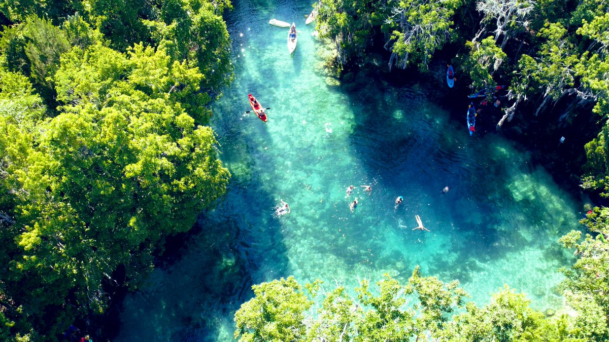 ChristineLozada's tweet photo. I 💕 my weekend #roadtrip to #CrystalRiver Florida SO much my new man(atee) asked me to stay a few extra days...

🧵THREAD of my fave things so YOU can #travel here⬇️ https://t.co/f0PZeL9GEz