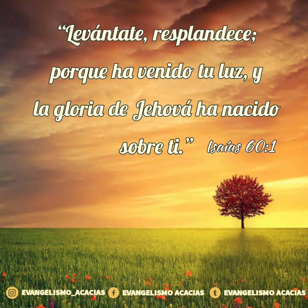 las_acacias's tweet photo. En estos tiempos la oscuridad y las tinieblas quieren tomar lugar y espacio, los hijos de #Dios tenemos una gran oportunidad y responsabilidad: hacerlas retroceder con la luz y el amor de #Cristo en nuestras vidas.
¿Qué haces para mostrar esa luz donde sabes que no la hay?
#IEPLA https://t.co/2LZygEEcq5