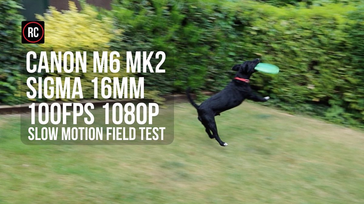 RovingChestnut's tweet photo. Canon M6 Mk2 slow motion at 1080p and 100fps field test #canon #canonvideo #canonm6mkii #Slowmotion https://t.co/o5mFR7VAkd