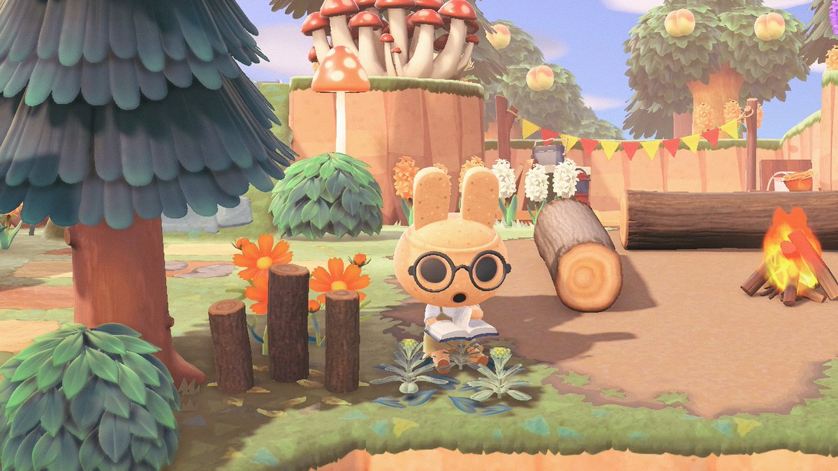 CarawayCrossing's tweet photo. When a book is so good you have to put it down for a sec and contemplate your life...  #acnh #animalcrossing https://t.co/BCMLlrnyCx