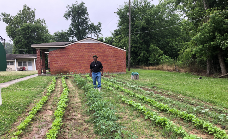 LaurelHousingMS's tweet photo. Terry Cooley, a resident at our Arco Lane Site enjoys gardening &amp; providing fresh produce for his community.  His work has been extremely helpful during the pandemic. Terry, we appreciate you for being a #FoodHero here in #LaurelMS.

#LaurelHousingMS #LaurelLeads  #HousingIs https://t.co/CGXCUXW7ft
