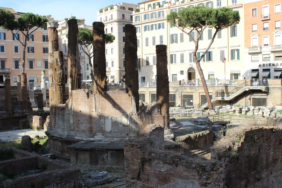 If you love cats and history, you need to visit Torre Argentina cat sanctuary when you travel to Rome. It's a fantastic organization that takes care of the cats that roam the area. And it's a cat sanctuary in the middle of ancient Roman ruins!

Read more: justinpluslauren.com/torre-argentin…