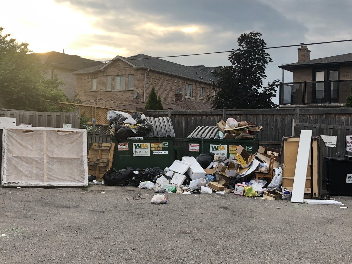 MarleeAveTO tweet media