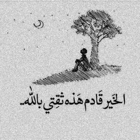 Amal Mohamed (@amalmoh20264157) on Twitter photo 